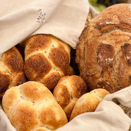 Pappas Hotel&studio 酒店