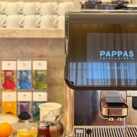 Отель Pappas Hotel&studio Подебрады